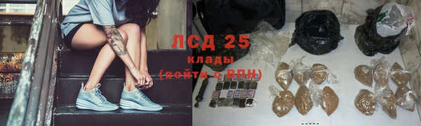 стафф Аркадак