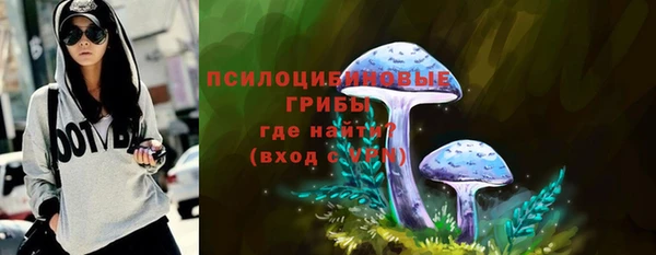 стафф Аркадак