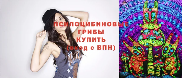 мяу мяу мука Арсеньев