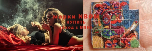 стафф Аркадак