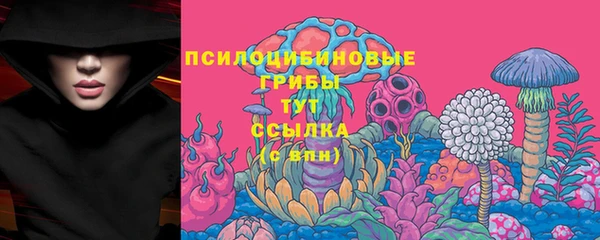 мяу мяу мука Арсеньев