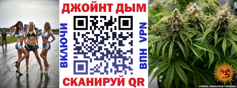 где найти наркотики  shop как зайти  Бошки Шишки семена  Искитим 